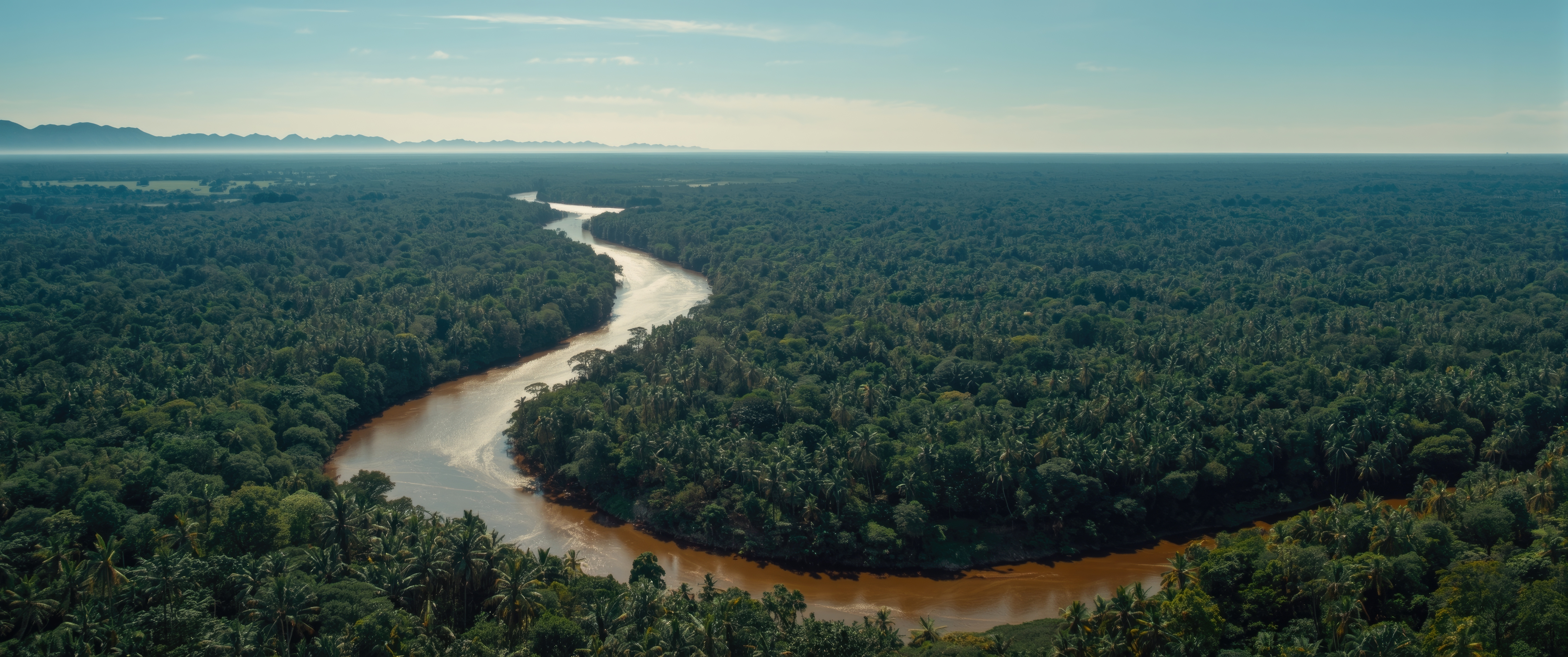 Amazonas-Schutz mit Hilfe von KI